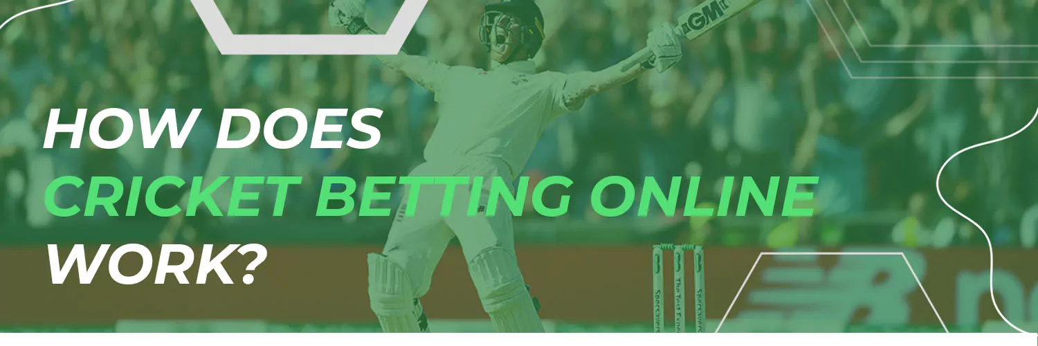 How Does Cricket Betting Online Work