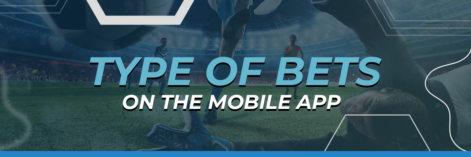 Types of Bets on the Indibet Mobile App