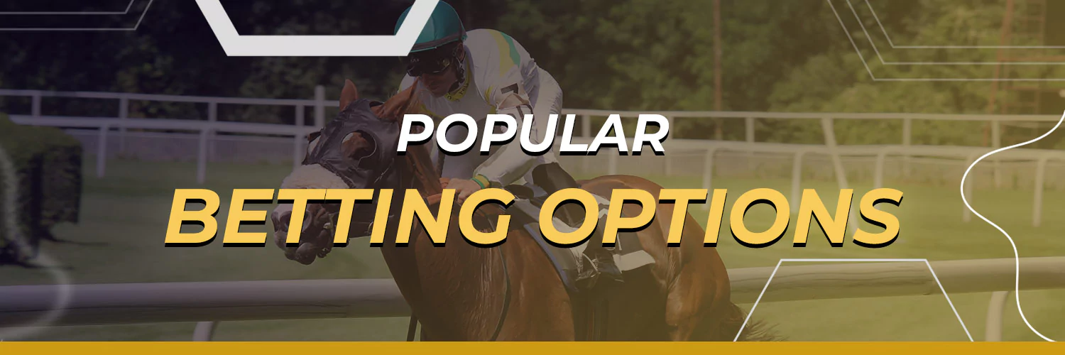 Popular Betting Options at 24Betting